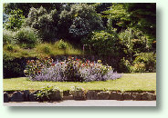 Flowerbed at Trythance Farm