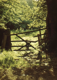 Old Farm Gate