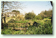 Garden at Halwyn