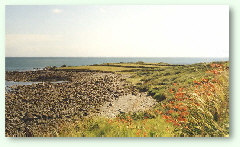 Lowlands Point from the quary
