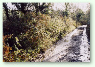 Meadow Lane - St. Keverne
