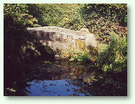 Bridge at The Ponds