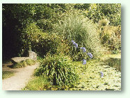 Arbour at Roskilly`s ponds