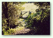 Stepping stones at The Ponds