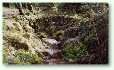 Waterfall into third Pond