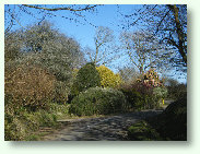 Garden at Trevallack