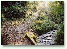 View up the valley