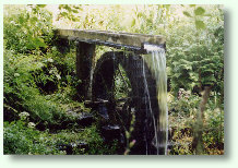 Water wheel at The Ponds
